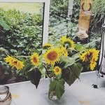 Marion Schroeder - @marion.schroeder814 - Instagram