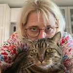 Marion schroeder-lange - @katzenliebe_66 - Instagram