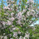Marion Sell - @sell_0503 - Instagram