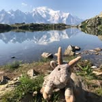 Marion Sellier - @marionsellier - Instagram