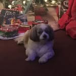 Marion Sessions - @marionmom - Instagram