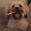 Marion Sharpe - @marion.sharpe5 - TikTok