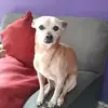 Marion Silver - @marion.silver - TikTok