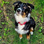 Marion Singer - @marionsinger45 - Instagram