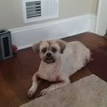 Marion Snyder Sandhoff - @marionsandhoff - Instagram
