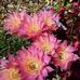 Marion Stanford - Facebook