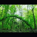 Marion Stark - @starkmoi - Instagram
