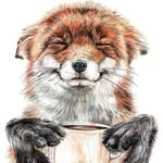 Marion Steiger - @the_drawing_writer - Instagram