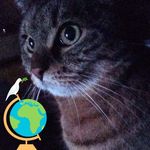 Marion Steiner - @steiner.marion1968 - Instagram