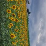 Marion Steiner - @marion._str - Instagram
