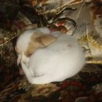 Marion Steiner - @marionsteiner9130 - Instagram