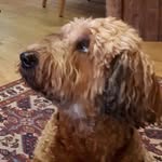 Marion Strack - @maristracki - Instagram