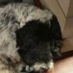 Marion Stumpf - @stumpf.raphael - Instagram