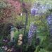 Marion Telford - Facebook