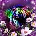 Marion Thrasher - Facebook