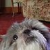 Marion Thrasher - Facebook
