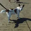 Marion Volkert - @marion.volkert - TikTok
