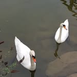 Marion Weber - @marion.weber.50767 - Instagram