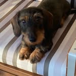 Marion Weber - @marion.weber_reico_vp - Instagram