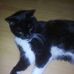Marion Weller - Facebook