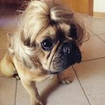 marion werner - @marion_werner - Instagram
