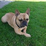 Marion Werner - @marionwerner2014 - Instagram