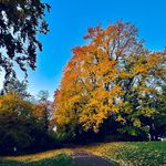 Marion Werner -Eismann - @schneiderstubefingerhut - Instagram