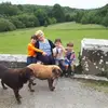 Marian Whelan - @marian.whelan8 - TikTok
