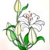 Marion Whiting - Facebook