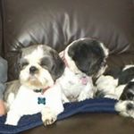 Marion Whitney - @marionwhitney - Instagram