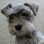 Marion Whitney Martin - @marionwhitneymartin - Instagram
