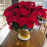 Marion Whitney Martin - @marionw342 - Instagram