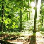 marionwhittington - @marionwhittington6083 - Instagram