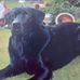Marion Whyte - Facebook