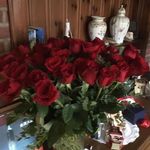 Marion Wilke - @marion.wilke.589 - Instagram