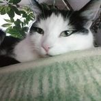 Marion Wilke - Facebook