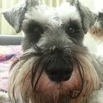 Marion Williamson - @marionwilliamson9406 - Instagram
