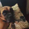 mari - @marirosesmith - TikTok