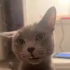 Miss Ash - @_marie_sings_ - TikTok