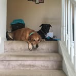 Marissa Baumgartner - Facebook