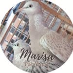 Marisa Birdfarm - @marisabirdfarm - Instagram