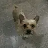 marisa blanco - @marisablanco61 - TikTok