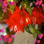 Marisa Blanco Moya Sanchez - @marisasanchez3442 - Instagram