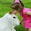 Pinkey_Dey - @mmarisa_buccini - TikTok