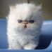 Marissa E. Buckley - Facebook