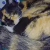 Marisa Bustos - @marisa.bustos14 - TikTok