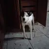 cssiamarisacatena - @cssiamarisacatena - TikTok