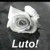 Marisa Clemente - @marisaclemente7 - TikTok