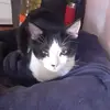 Marisa Cornejo - @marisacornejo5 - TikTok