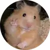 Marisa - @marisacorona43 - TikTok